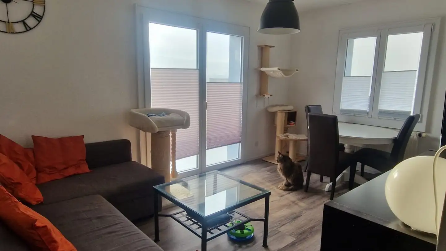 Einfamilienhaus mieten - 1527 Villeneuve FR