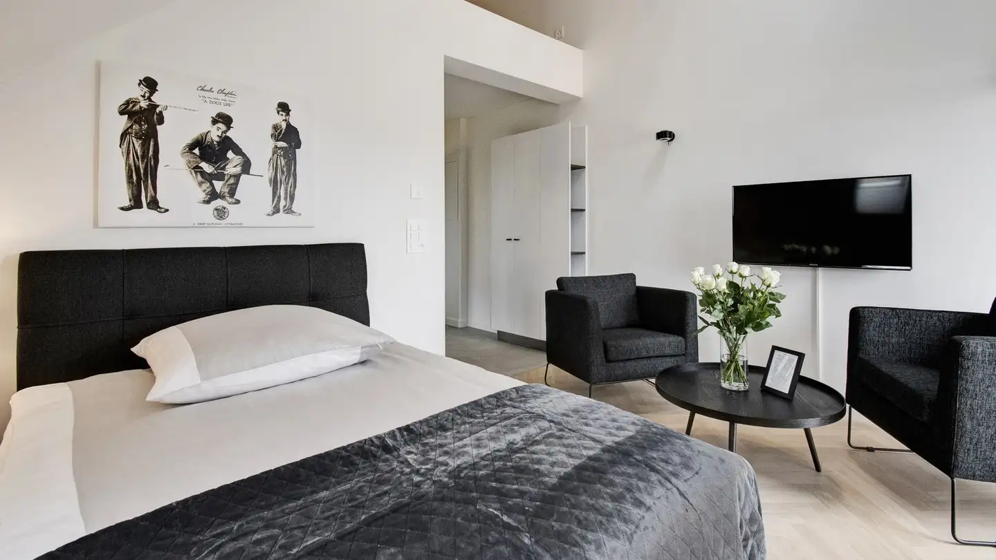 Appartement meublé à louer - Restelbergstrasse 28, 8044 Zürich