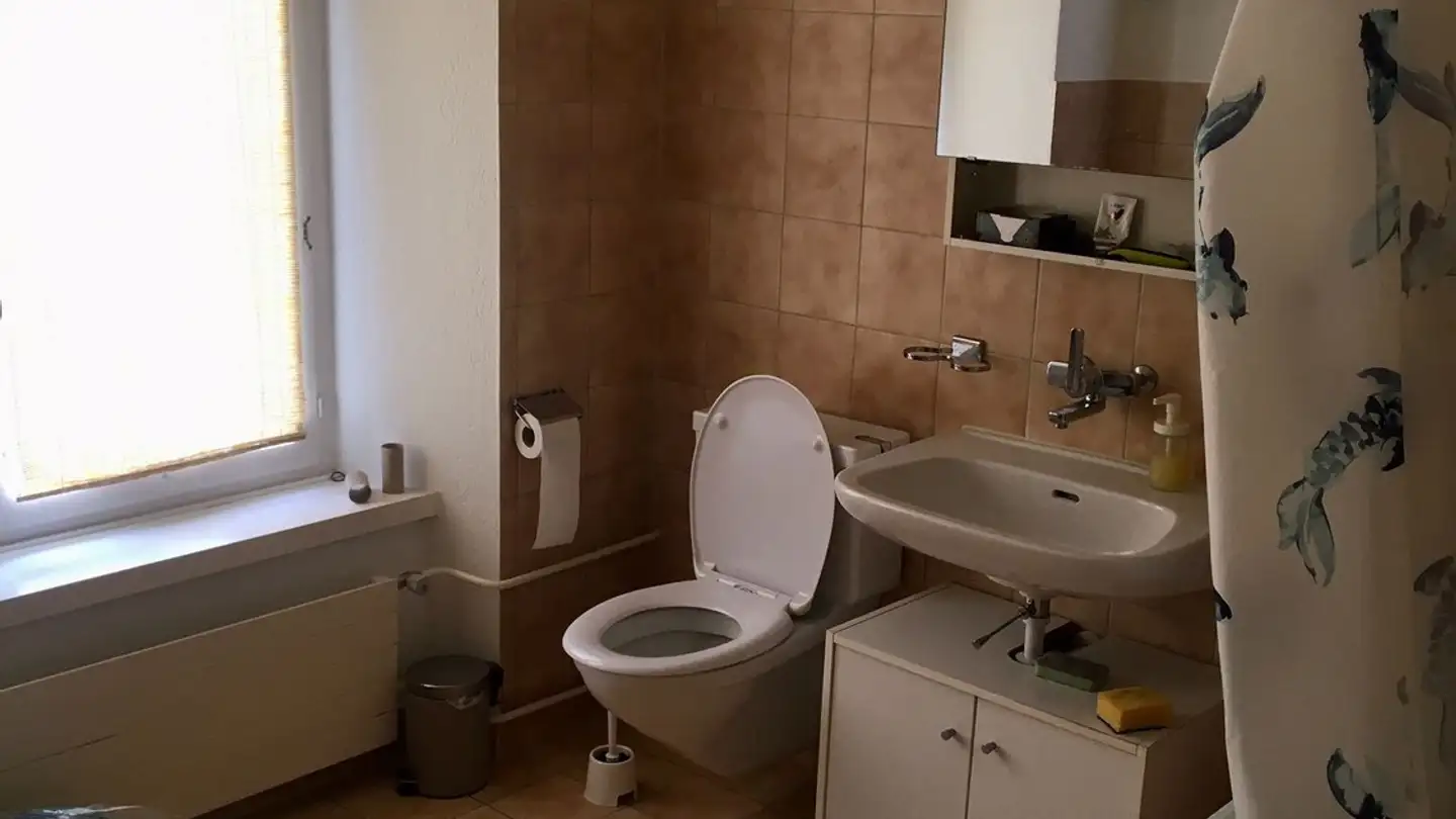 Single room for rent - Im Sihlhof 331, 8134 Adliswil - Photo 3