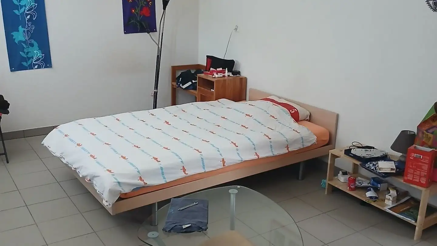 Appartamento in affitto - Brunchenal Du Milieu, 2800 Delémont - Photo 4