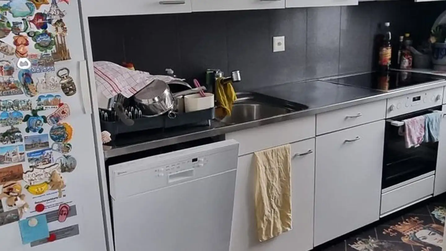 Apartment for rent - 8942 Oberrieden - Photo 3