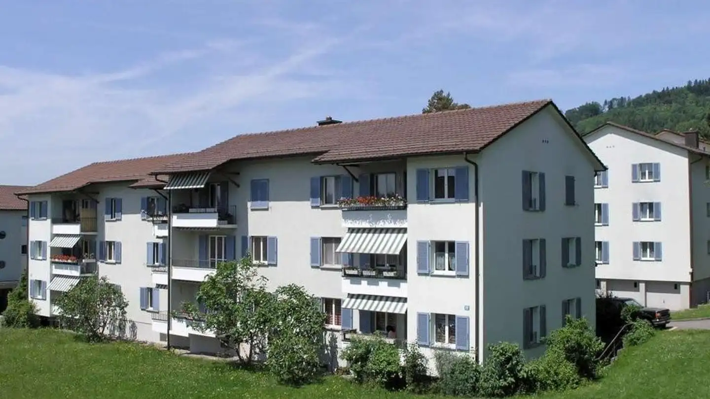 Appartement à louer - Winkelrainweg 19, 8102 Oberengstringen