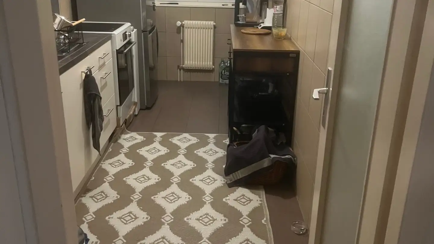 Appartamento in affitto - Chemin De Sous-Balme, 1255 Veyrier