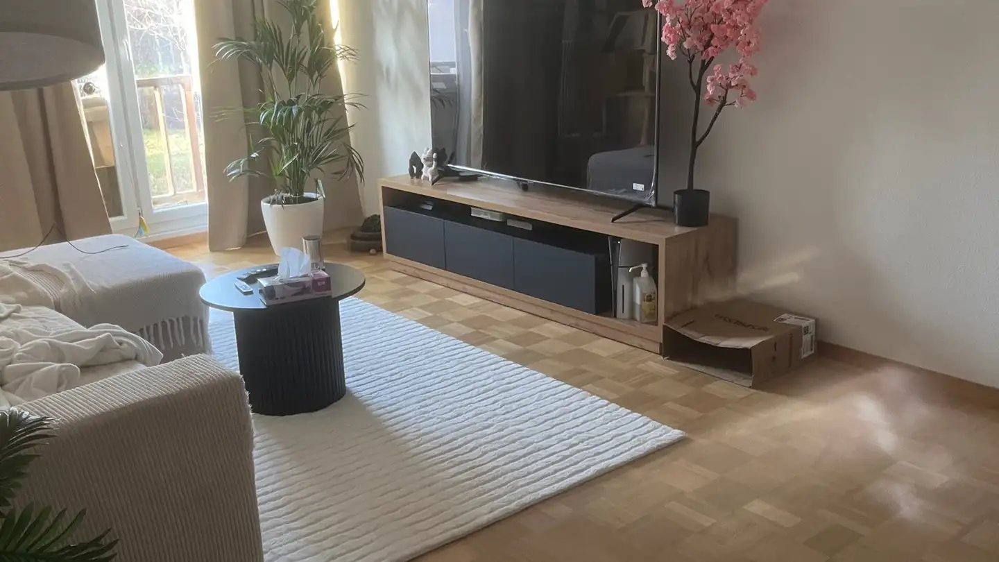 Appartamento in affitto - Chemin De Sous-Balme, 1255 Veyrier - Foto 2