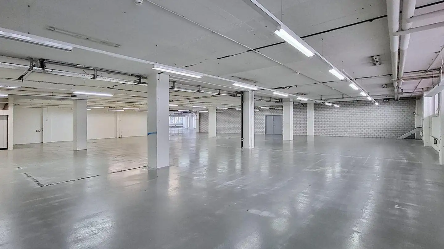 Commercial for rent - Gewerbestrasse 16, 8132 Egg b. Zürich