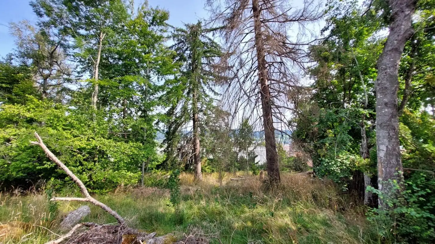 Terrain constructible à vendre - 2300 La Chaux-de-Fonds - Photo 4