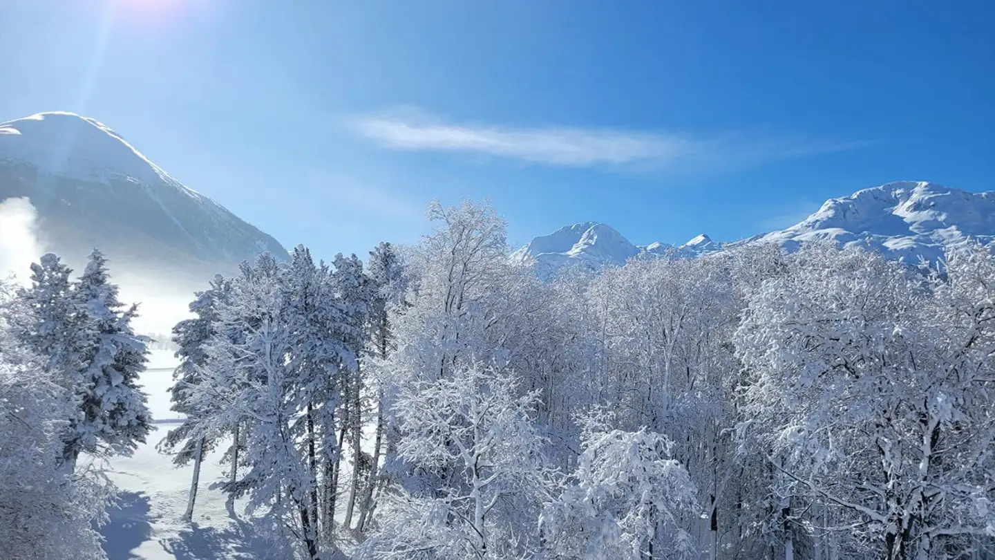 Appartamento in affitto - 7503 Samedan