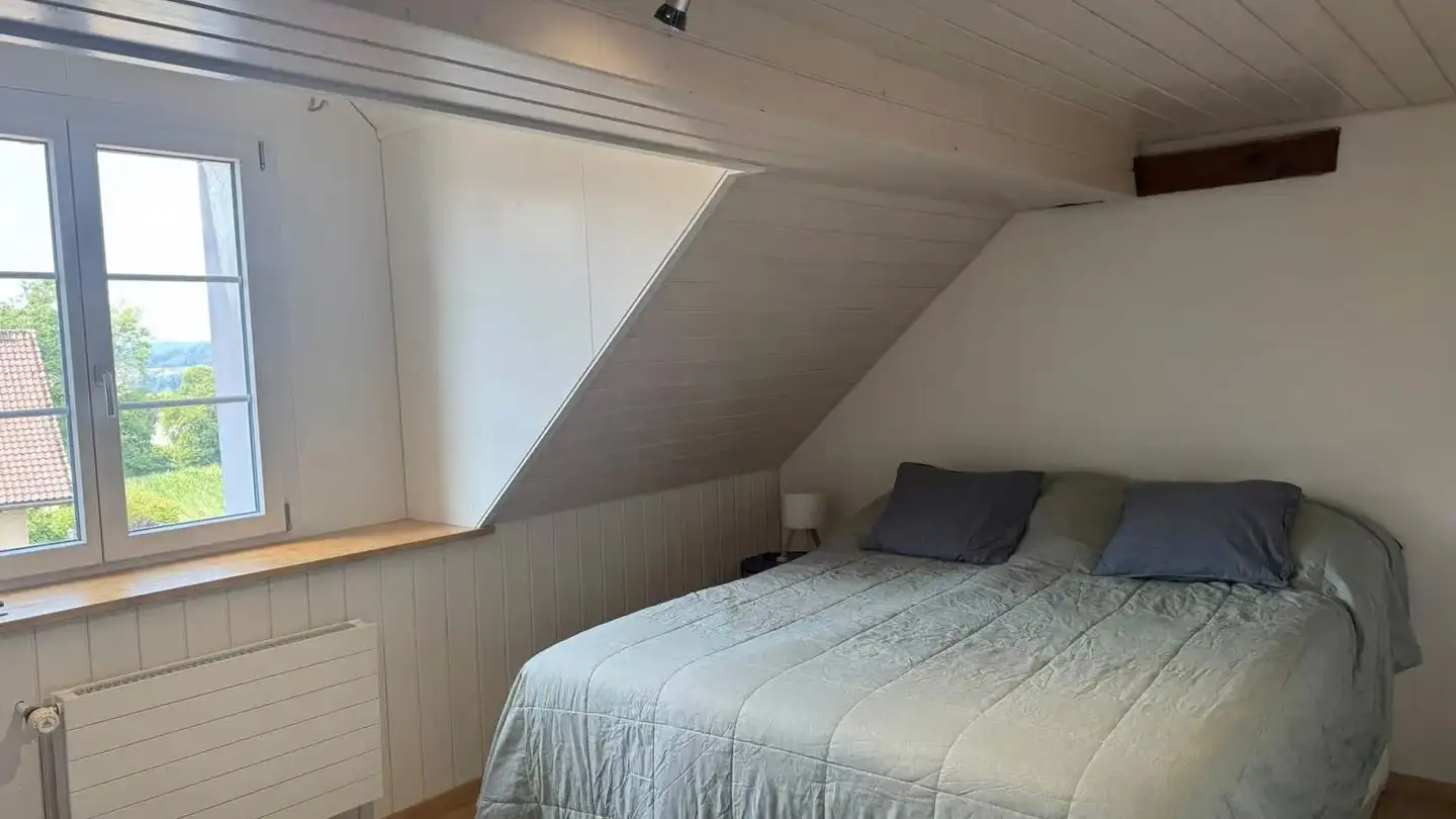 Attic flat for rent - Grüningerstrasse 118, 8626 Ottikon (Gossau ZH)