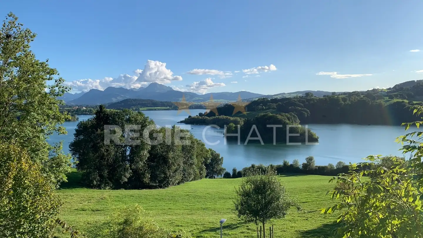 Chalet in affitto - 1649 Pont-la-Ville - Photo 2