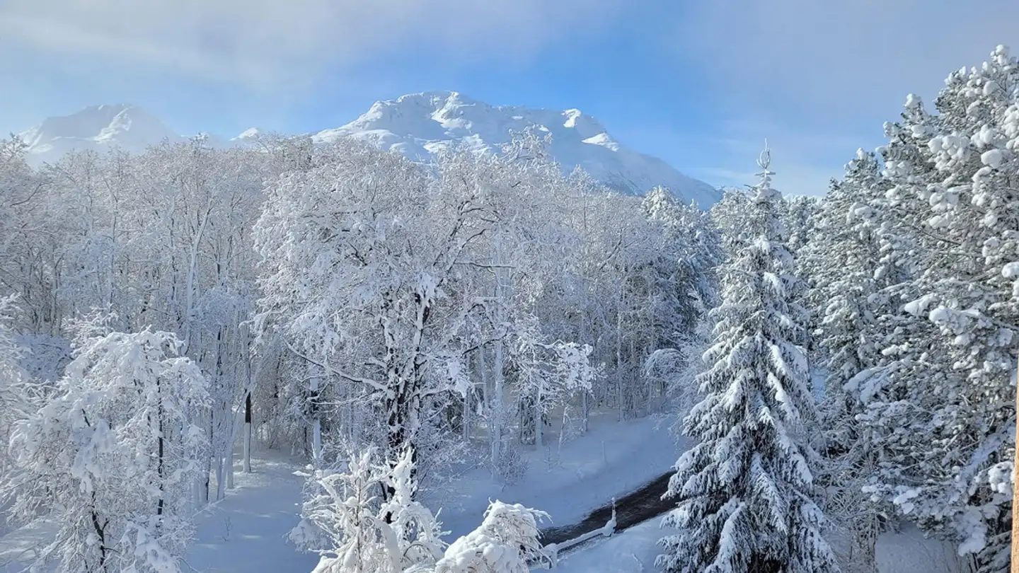 Appartamento in affitto - 7503 Samedan - Foto 2