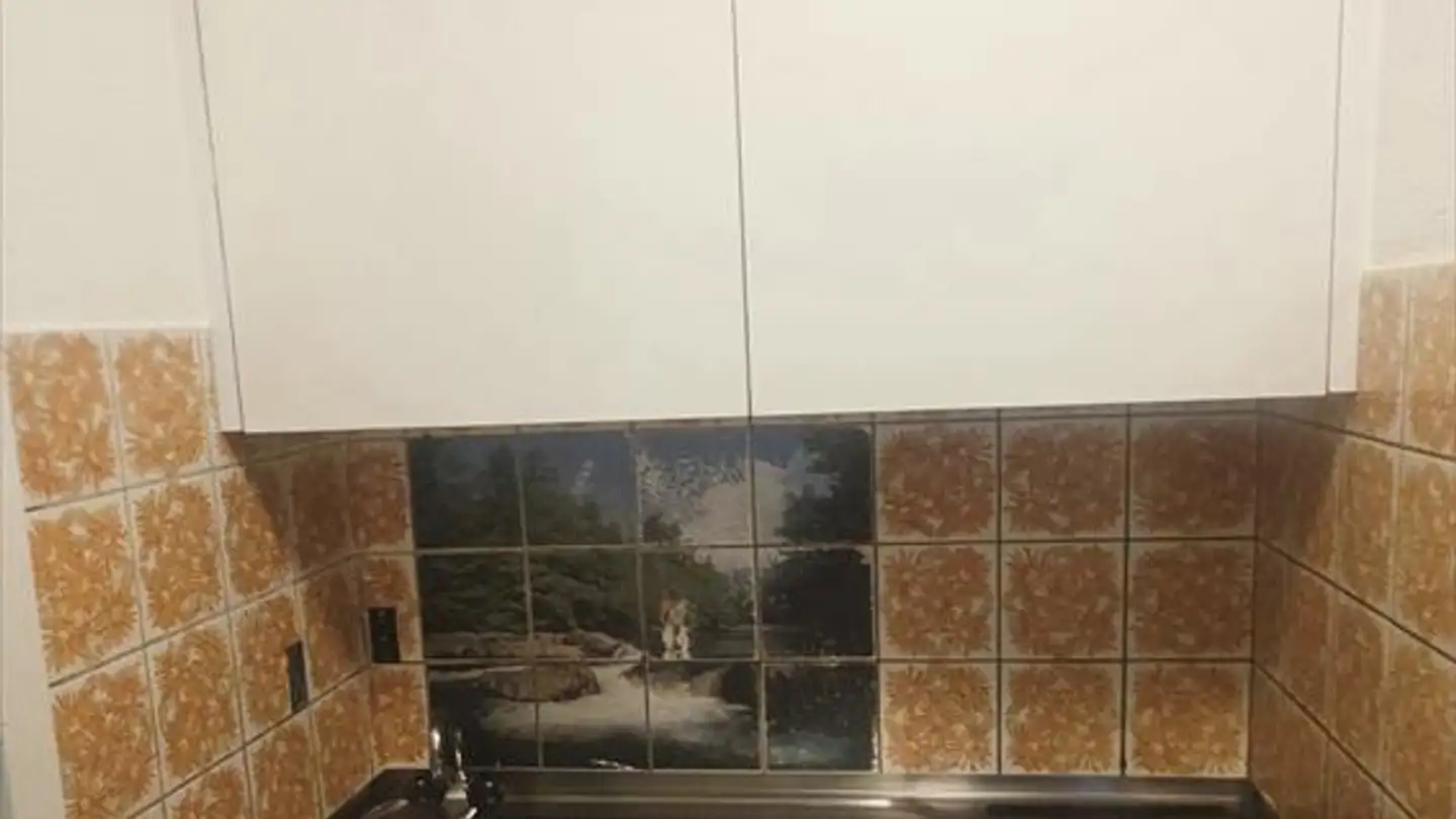 Studio mieten - Avenue De La Sallaz 64, 1010 Lausanne - Foto 4