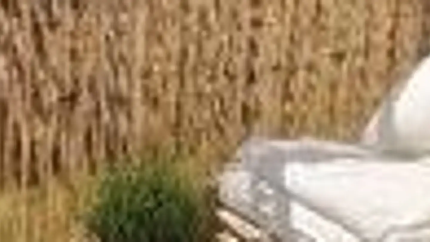 Appartement à louer - 8132 Hinteregg - Photo 2