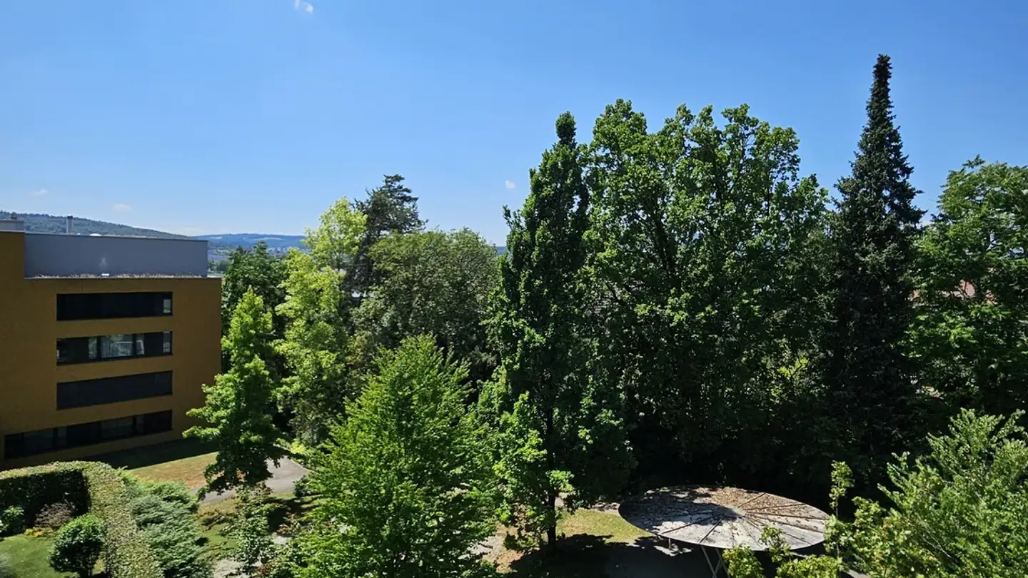 Wohnung mieten - Dahlienstrasse 19, 8103 Unterengstringen - Foto 3