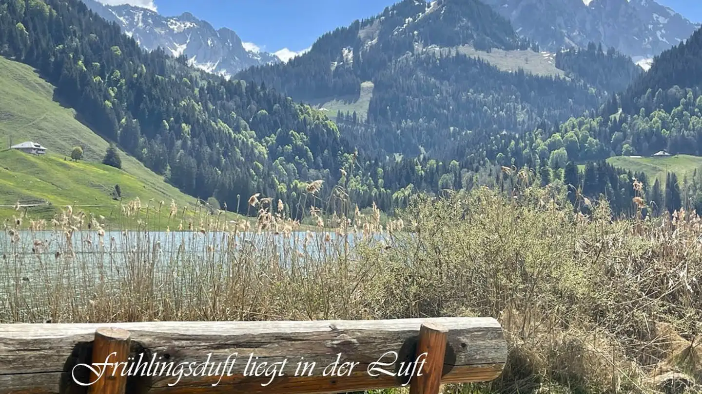 Maison individuelle à vendre - Seeblick 30, 1716 Schwarzsee - Photo 3