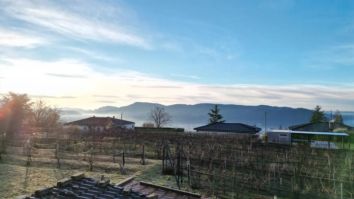 Terrain constructible à vendre - 6850 Mendrisio - Photo 2