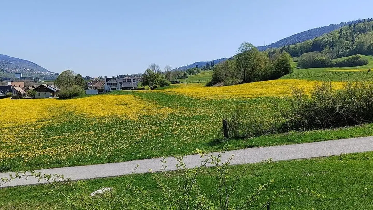 Chambre à louer - Route Des Revinnoz 8, 1337 Vallorbe - Photo 2