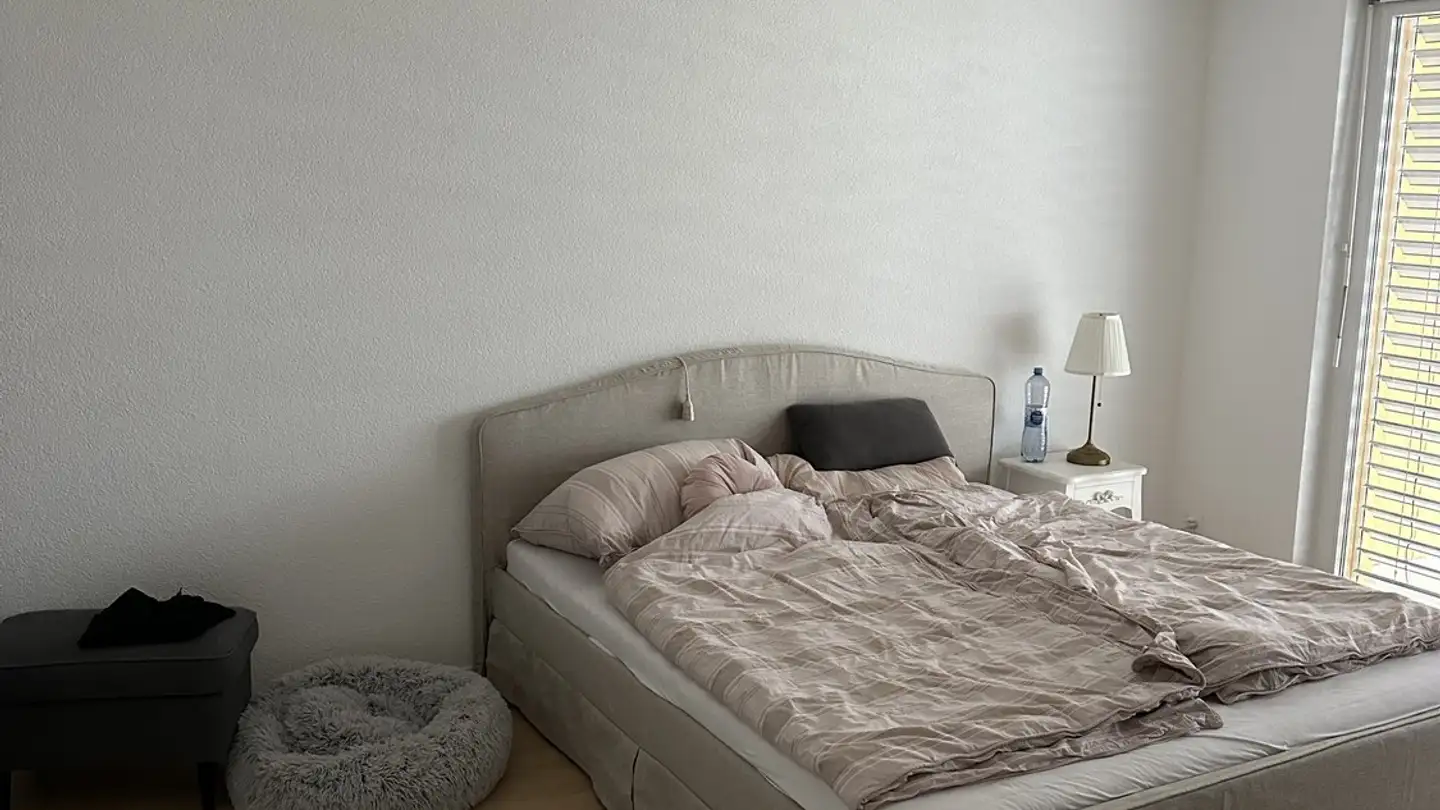 Wohnung mieten - Mühlebühlweg 27, 5616 Meisterschwanden - Foto 4