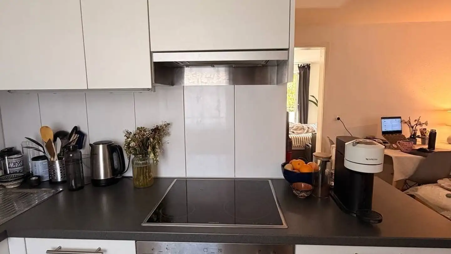 Appartamento in affitto - Seestrasse 14, 8810 Horgen - Photo 4