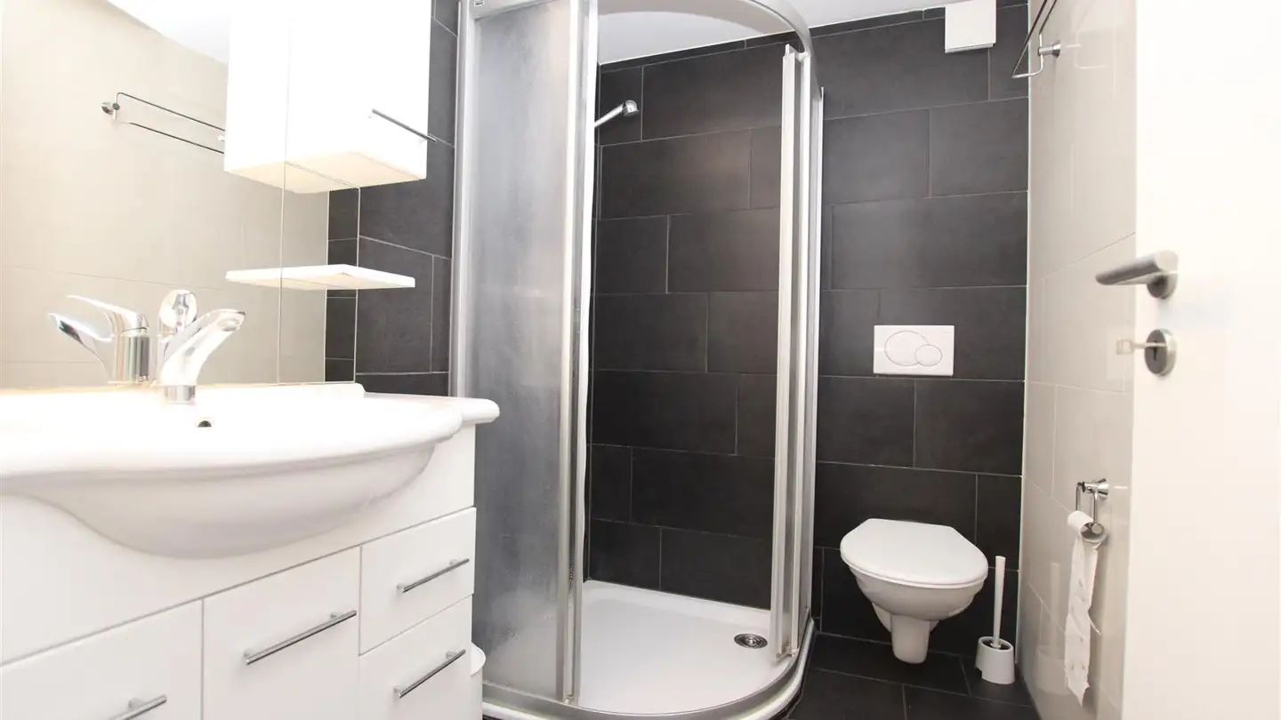 Appartement meublé à louer - Rue De Montbrillant 21, 1201 Genève - Photo 4