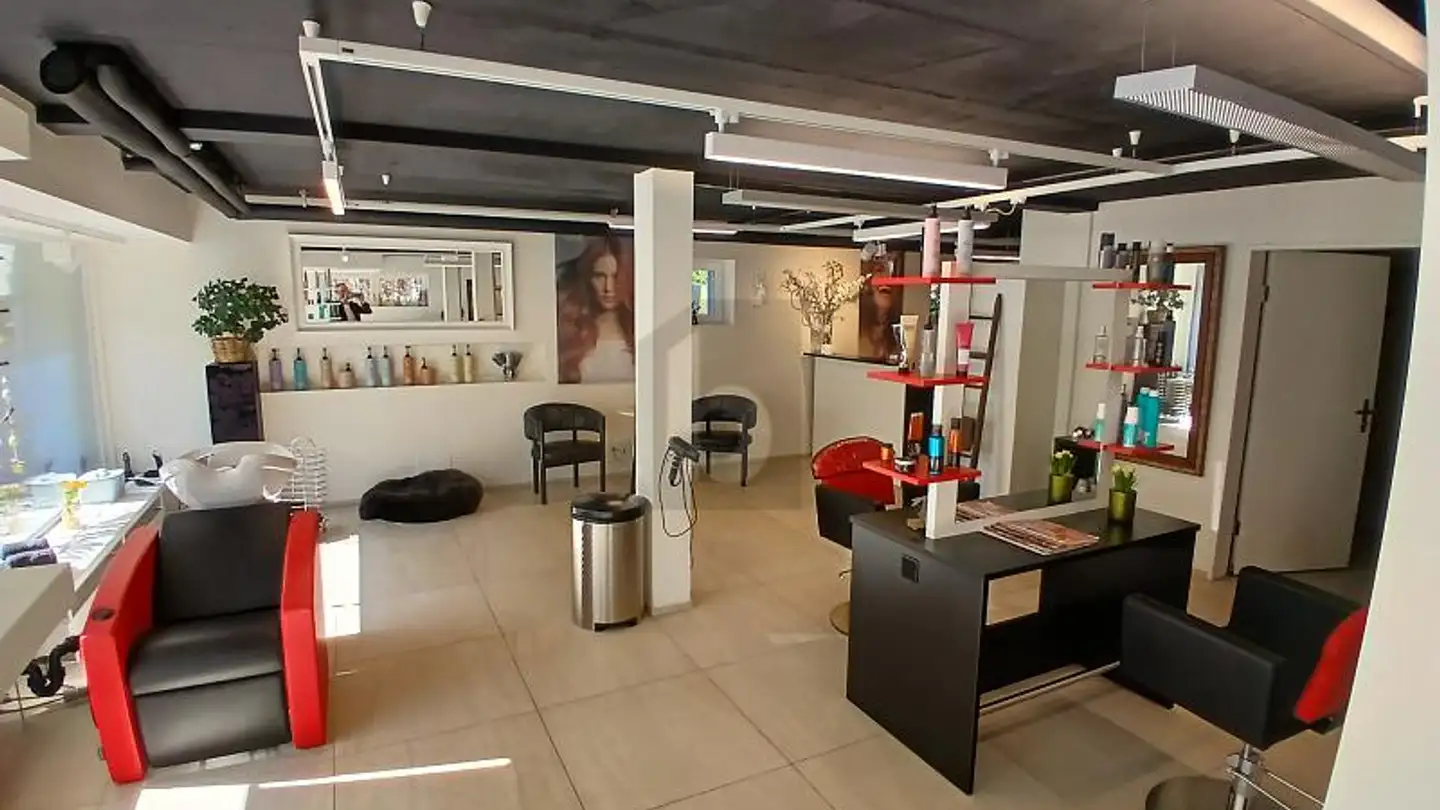 Negozio in affitto - 4106 Therwil