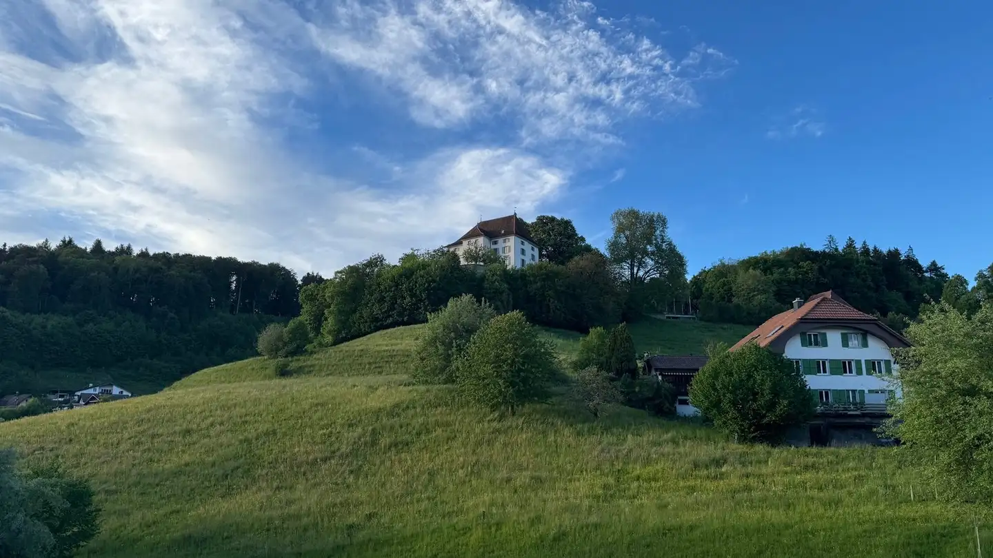 Wohnung mieten - 5044 Schlossrued