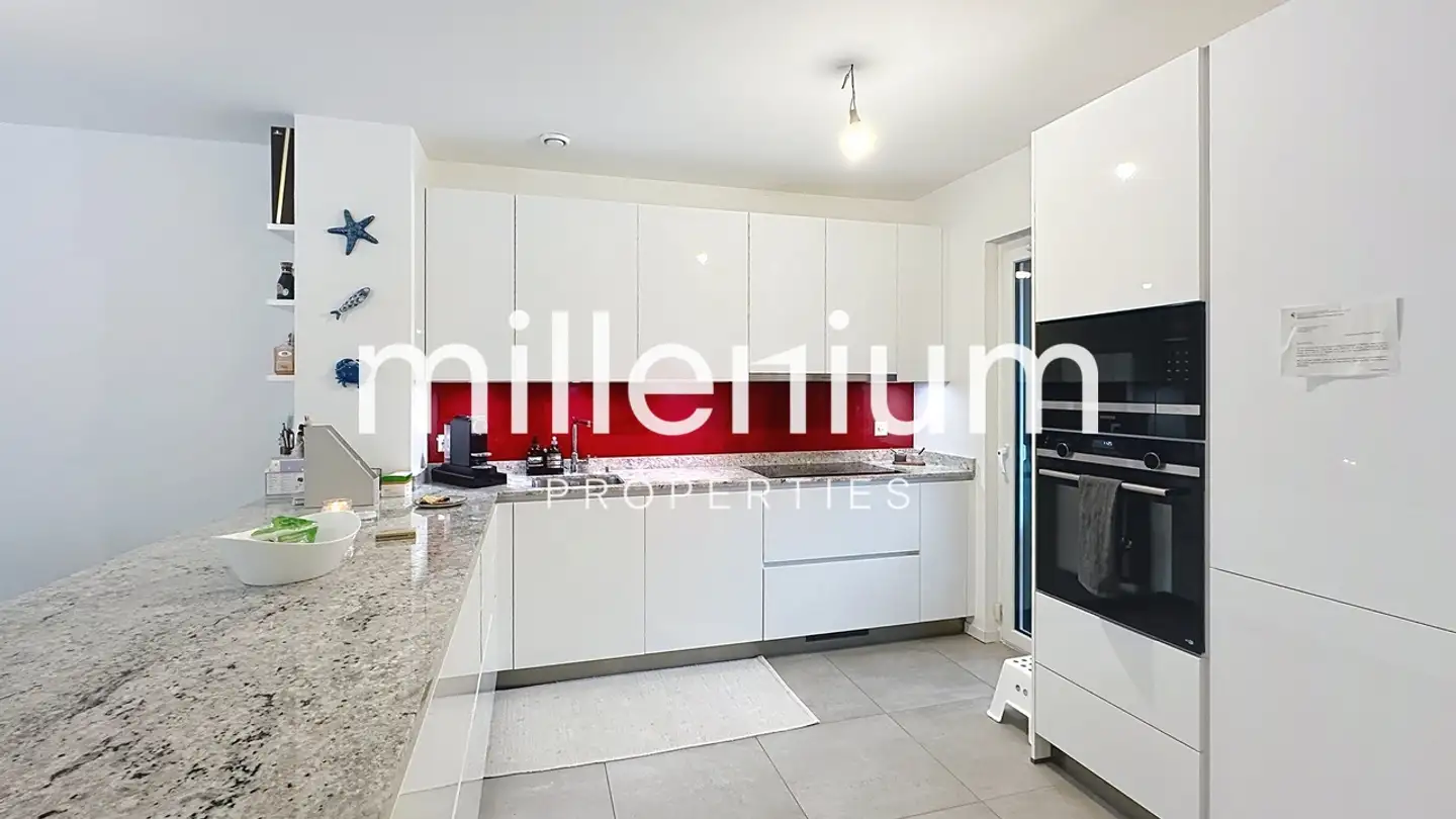 Höhlenhaus mieten - Route Du Grand-Lancy, 1212 Grand-Lancy - Foto 3