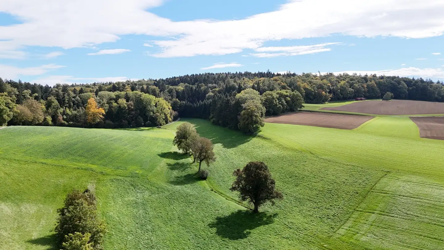 Wohnung kaufen - Sonnenbergstrasse 47, 5734 Reinach AG