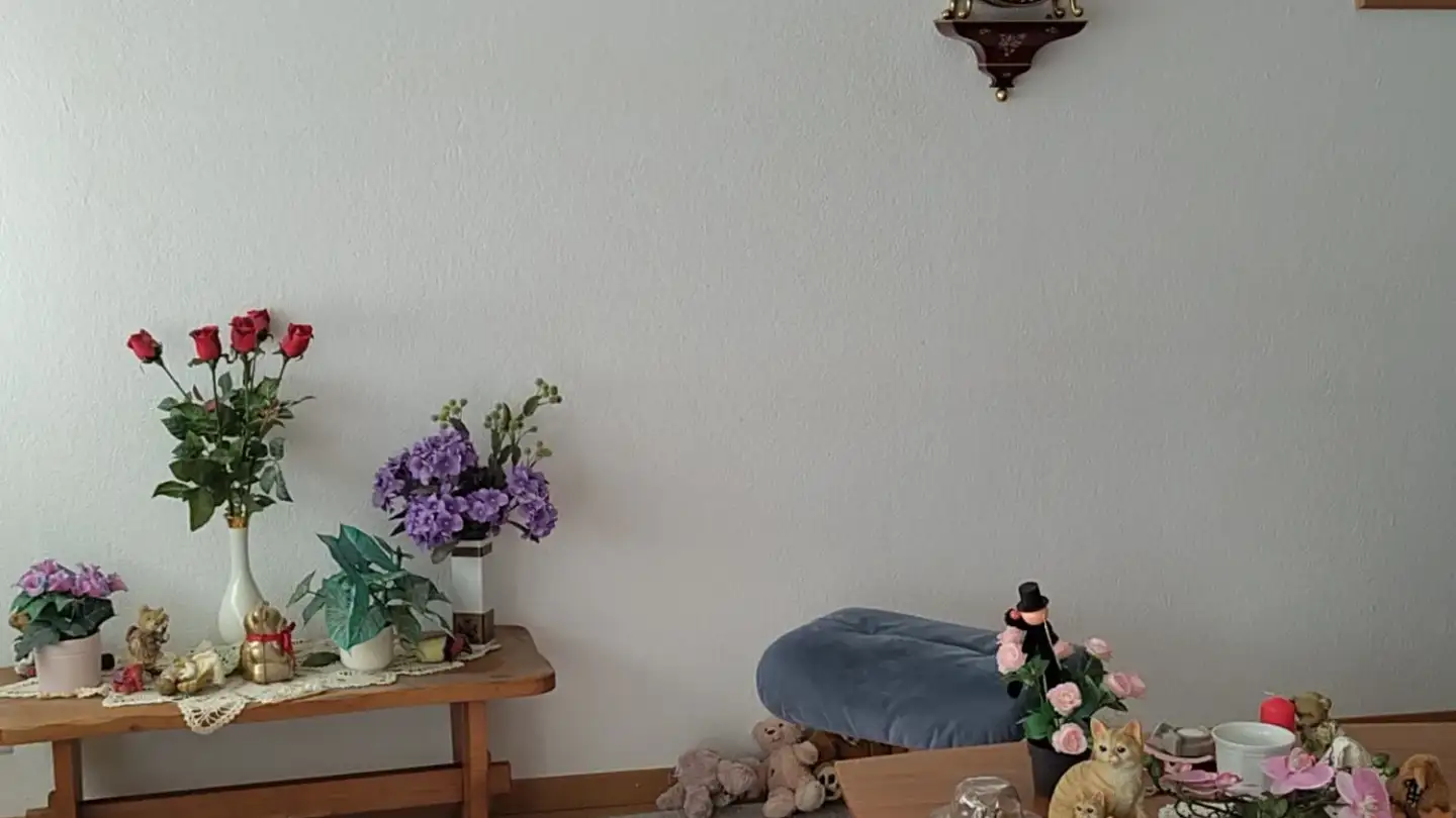 Appartamento in affitto - Bernstrasse 85, 3122 Kehrsatz - Foto 3