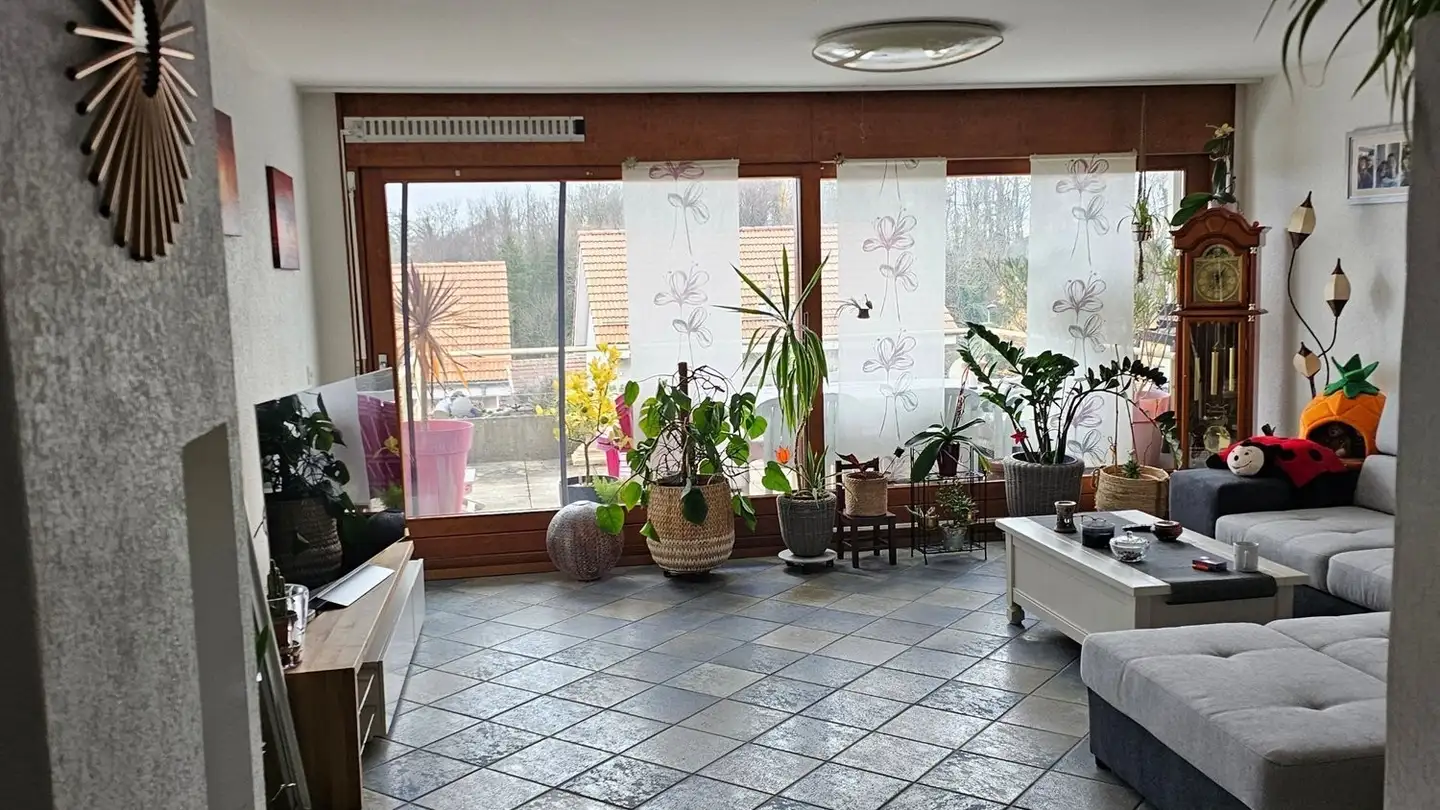 Wohnung mieten - Chemin Au Revelin, 1422 Grandson