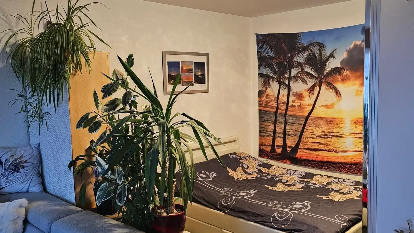 Wohnung mieten - Chemin Au Revelin, 1422 Grandson - Foto 3