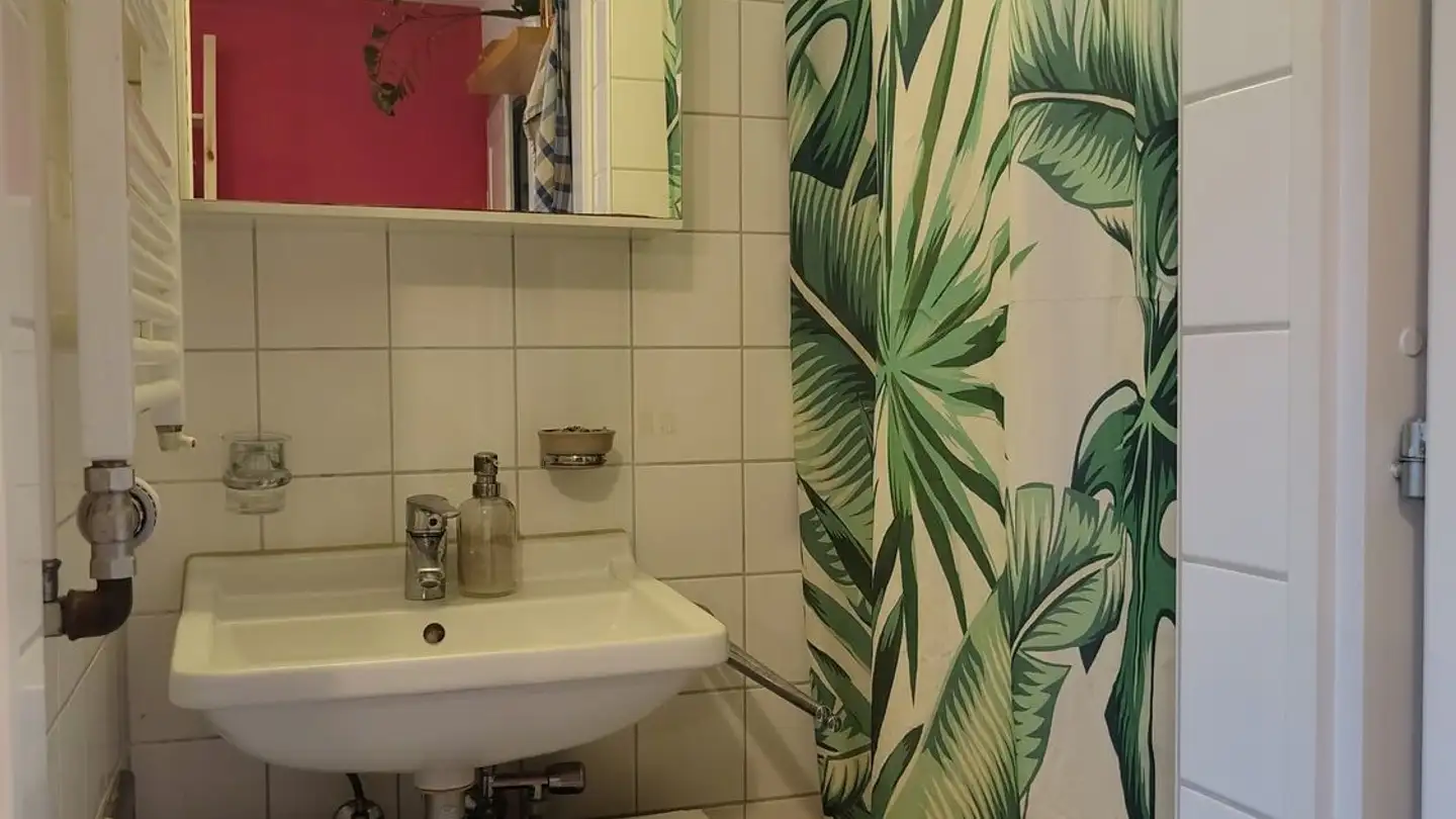 Single house for rent - Jägerstrasse 65, 8406 Winterthur - Photo 4