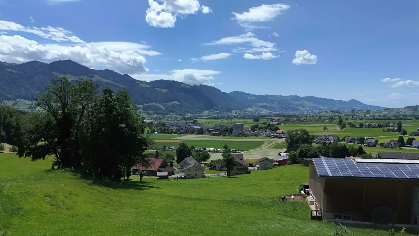 Attique à vendre - Büchelstrasse 21, 8717 Benken SG - Photo 3
