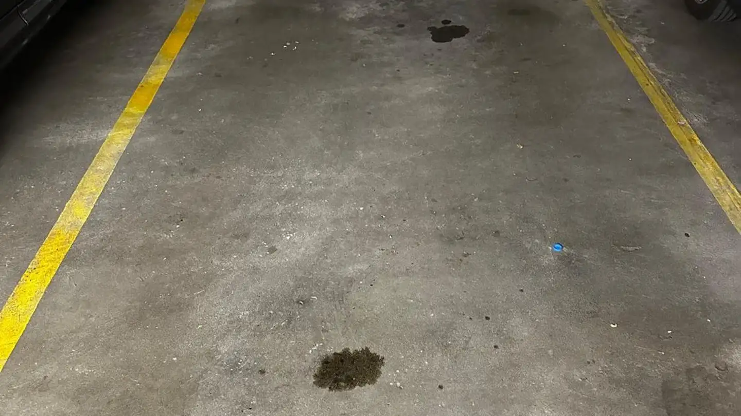 Outdoor parking space for rent - Blinzernfeldweg 27, 3098 Köniz