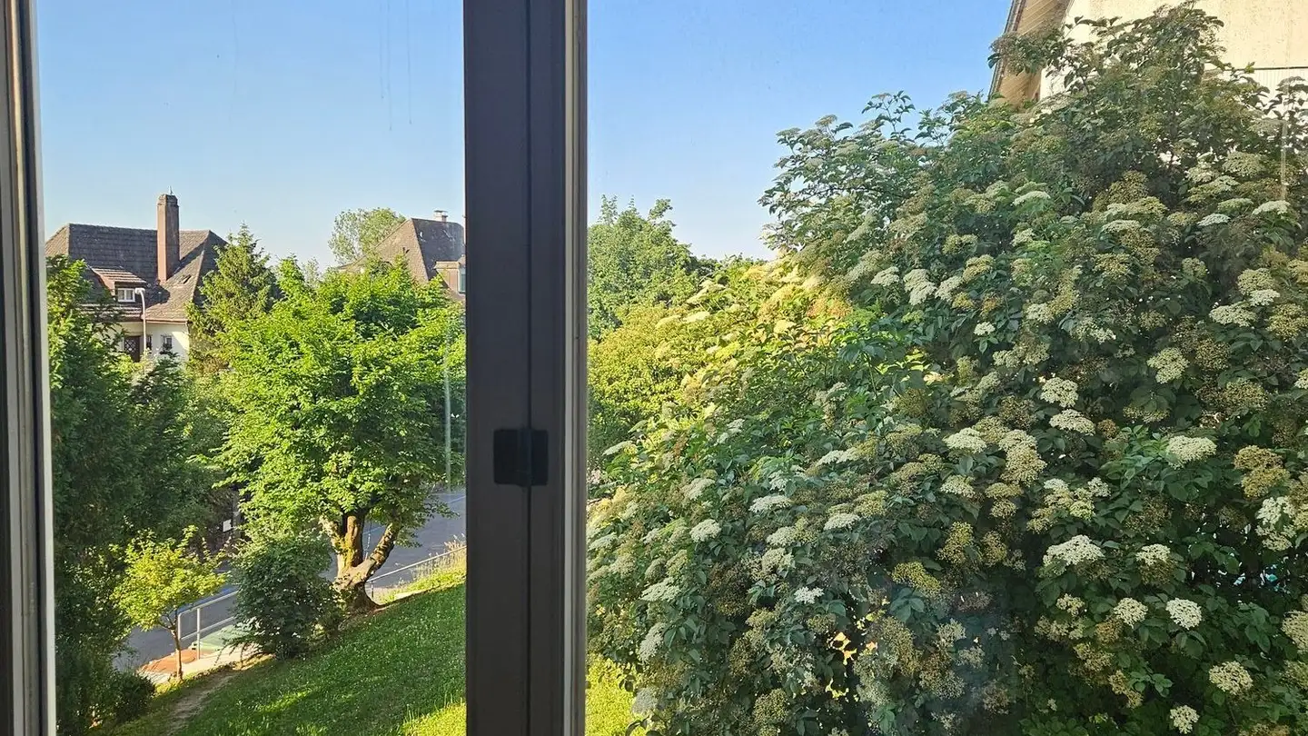 Attico in affitto - Au Petit-Chêne / Im Eichhölzli 5, 2502 Biel/Bienne