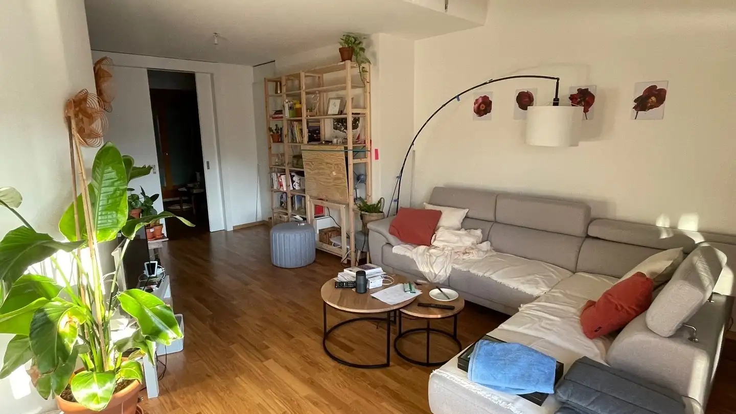 Appartement à louer - Rue De La Fontenette 25, 1227 Carouge GE