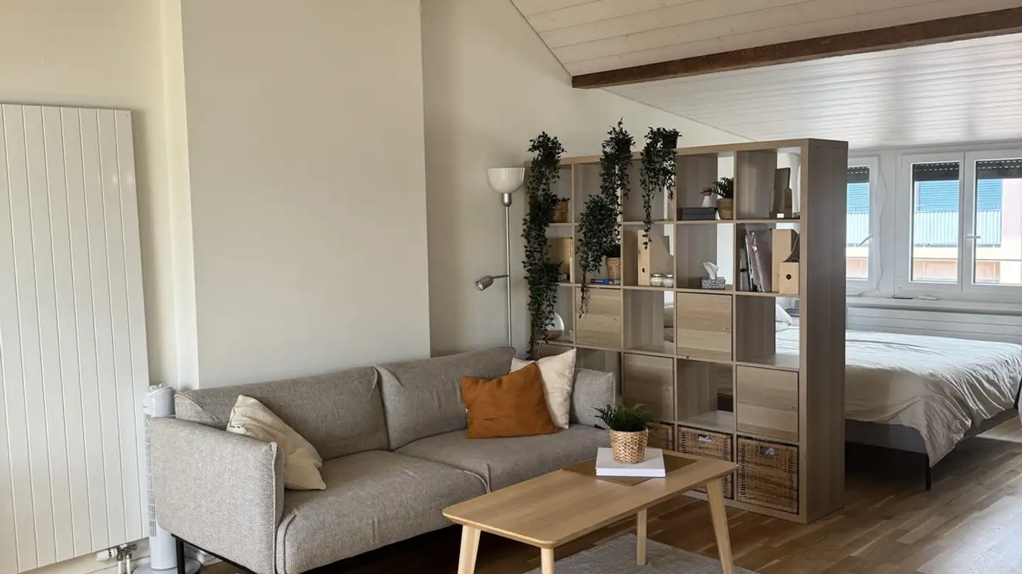 Appartamento in affitto - Avenue Henri-Druey, 1018 Lausanne