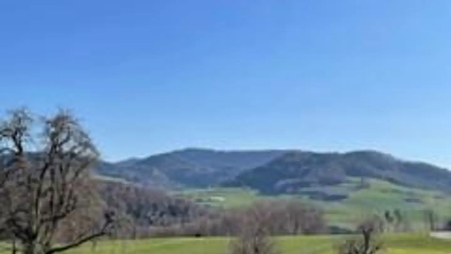 Ferme à vendre - Hauptstrasse 93, 4432 Lampenberg - Photo 4