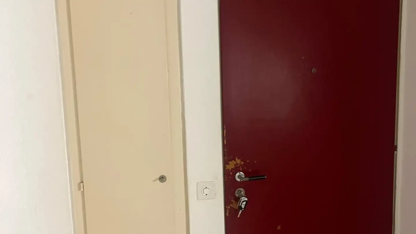 Appartamento in affitto - Via Lema 10a, 6900 Massagno