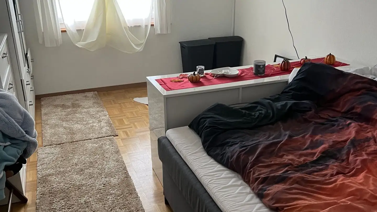 Apartment for rent - Usterstrasse, 8600 Dübendorf - Photo 4