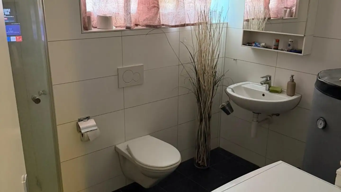 Wohnung mieten - Dorf 14, 6244 Nebikon - Foto 2