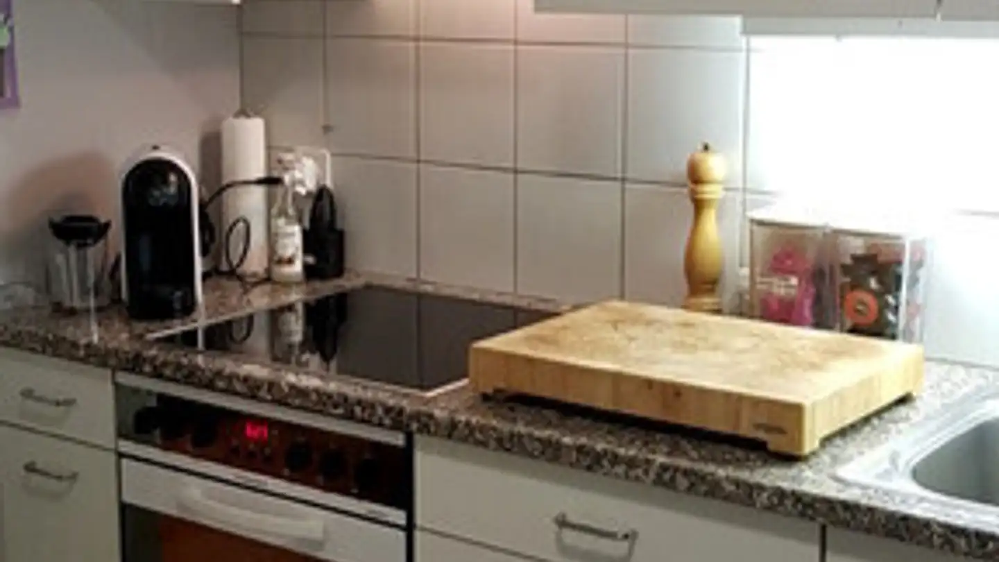 Furnished apartment for rent - 6006 Luzern - Photo 2