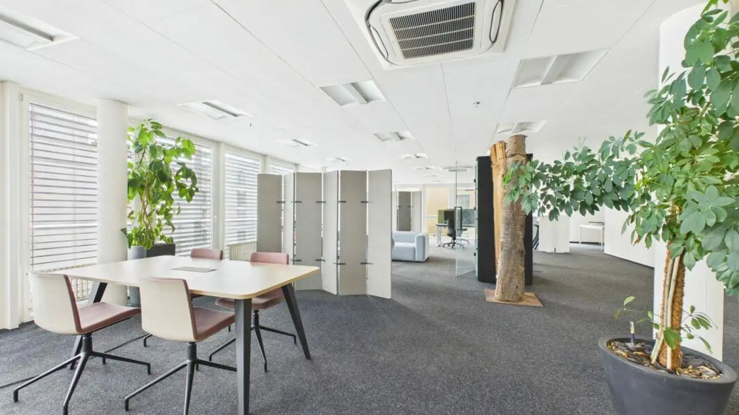 Commercial for rent - Centralstrasse 35, 6210 Sursee