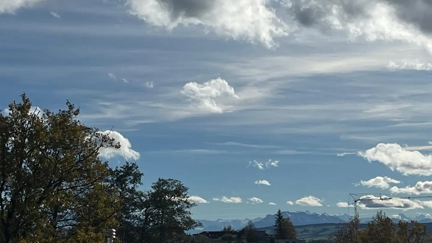 Penthouse for sale - 8967 Widen