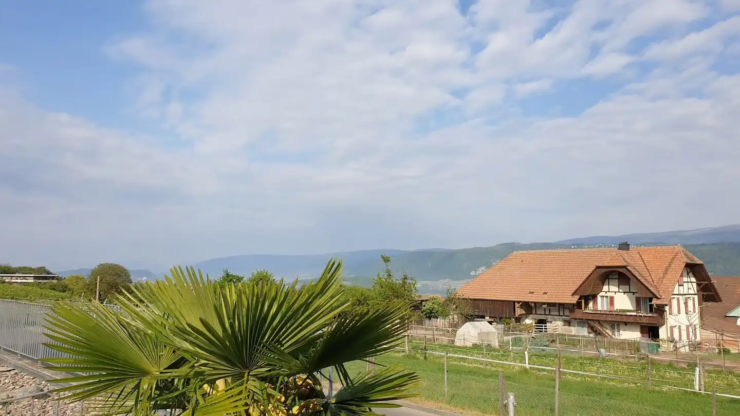 Appartement en terrasse à louer - Sackmattstrasse 22, 2575 Gerolfingen