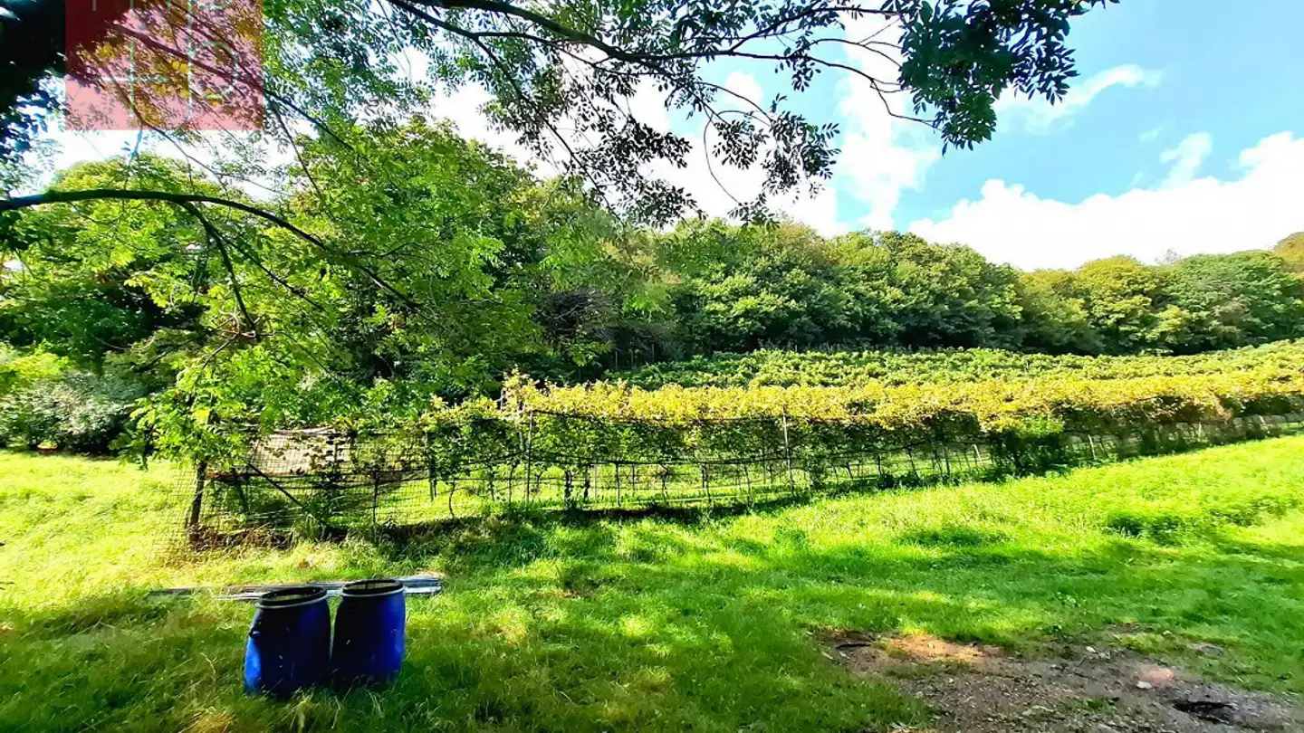 Terreno edificabile in vendita - 6935 Bosco Luganese - Photo 2