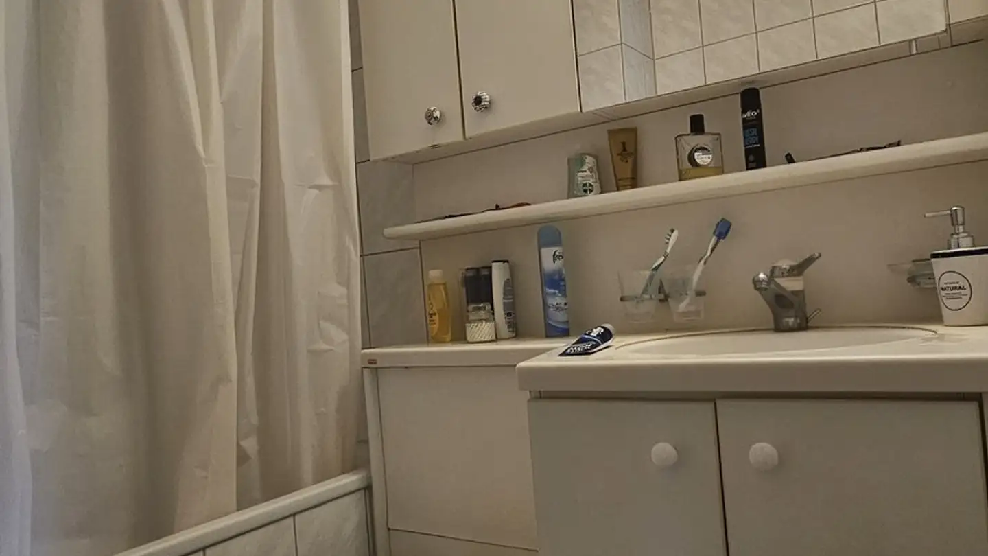 Appartamento in affitto - Dornacherstrasse 152, 4053 Basel - Foto 3