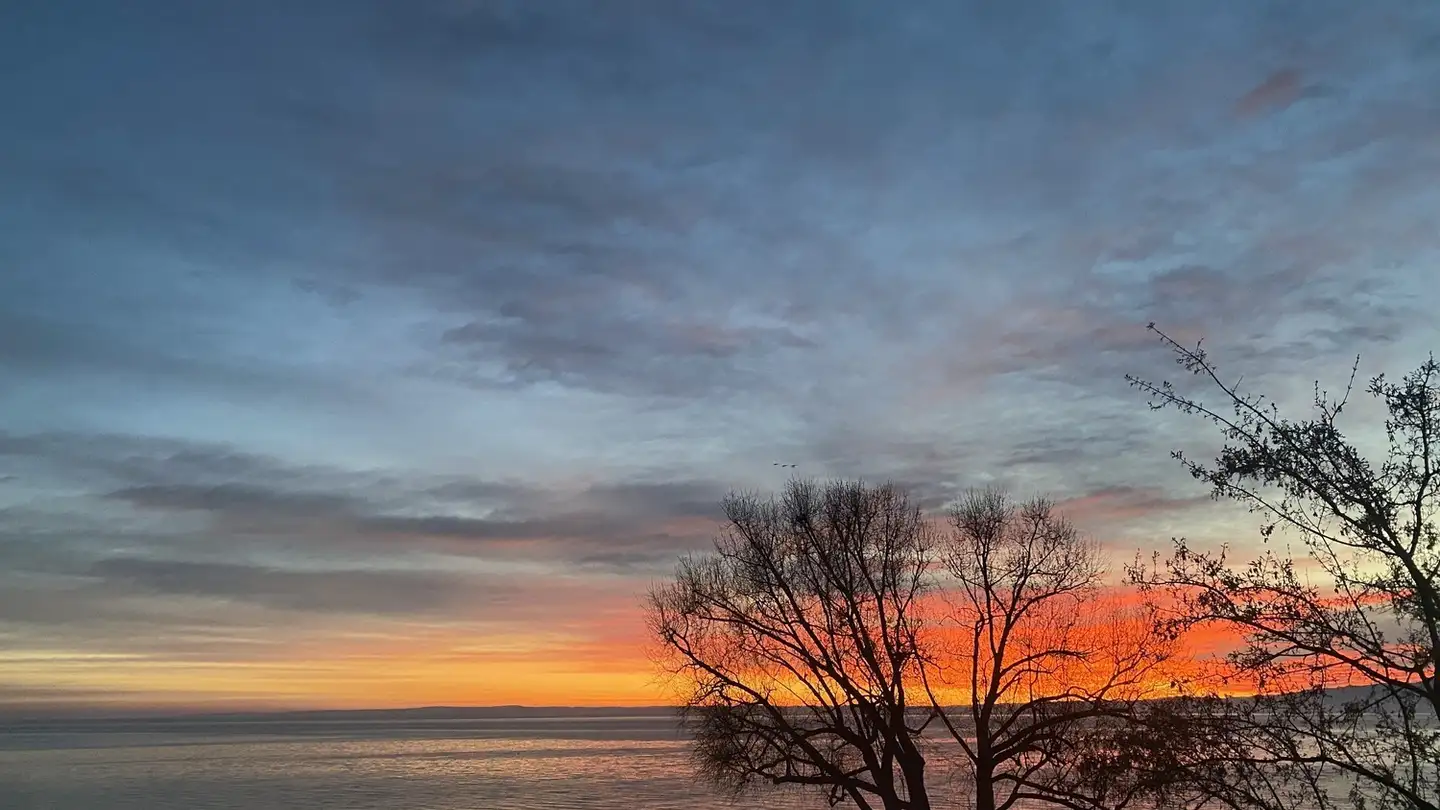 Appartamento in affitto - 9320 Arbon - Photo 2