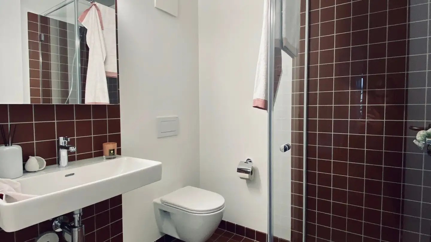 Apartment for rent - 8952 Schlieren