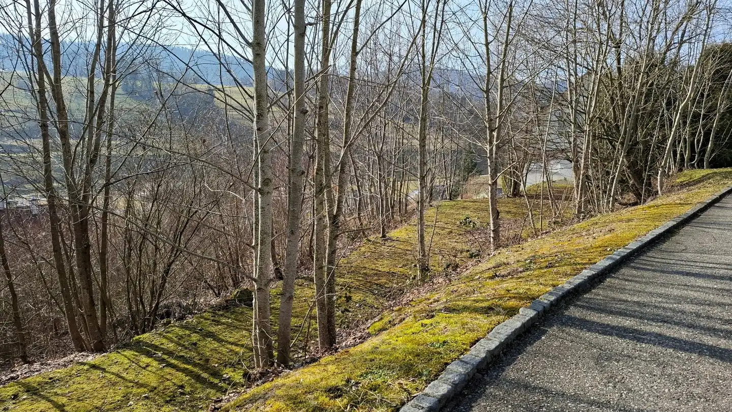 Terrain constructible à vendre - Im Wolfbiel, 4206 Seewen SO - Photo 2