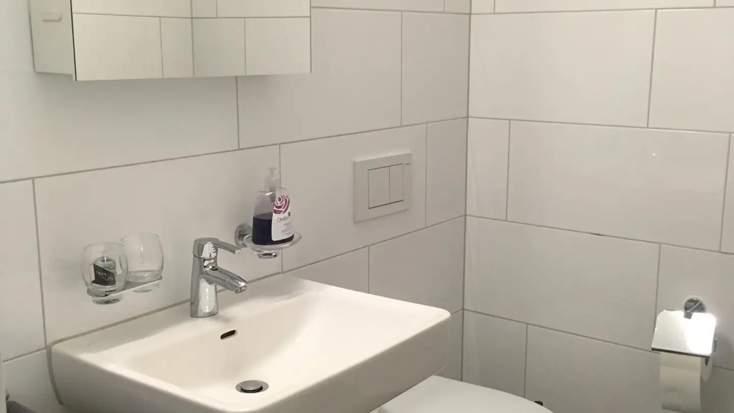 Chambre à louer - Bachmannweg, 8046 Zürich
